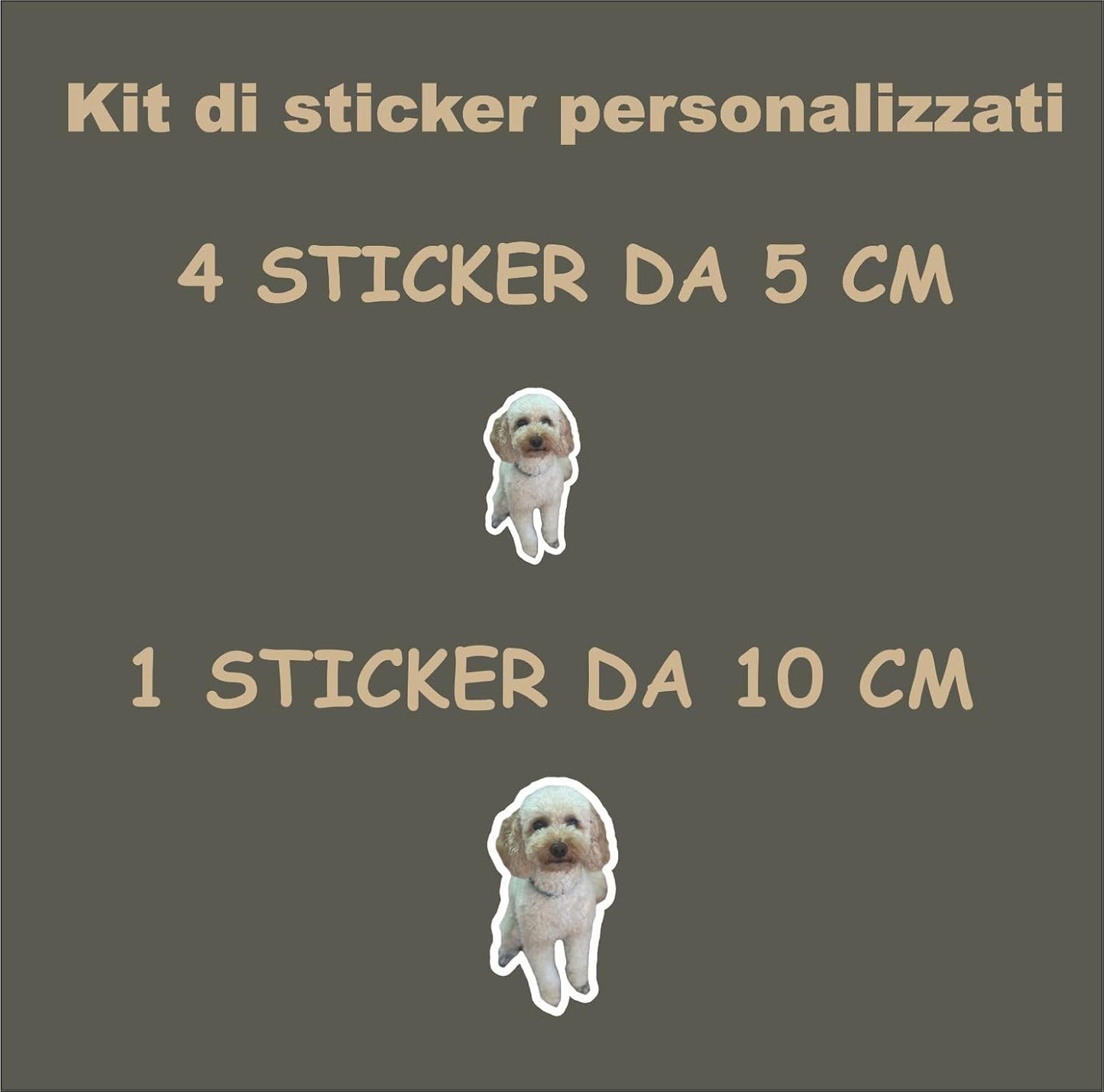 Adesivi Personalizzati da Foto – 1 Adesivo da 10 cm + 4 Adesivi da 5 cm