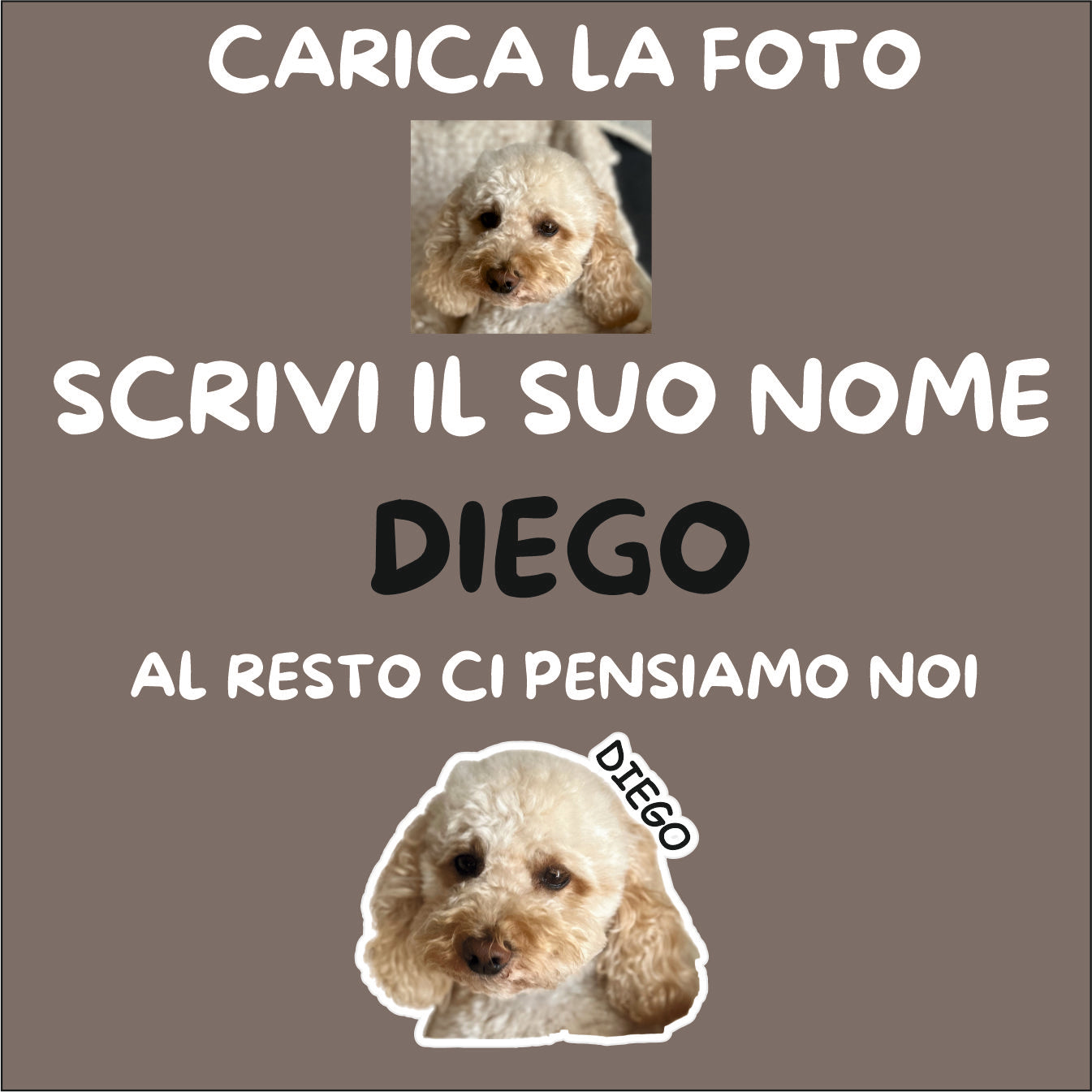 Kit Adesivi personalizzati con foto del tuo cane o gatto con nome