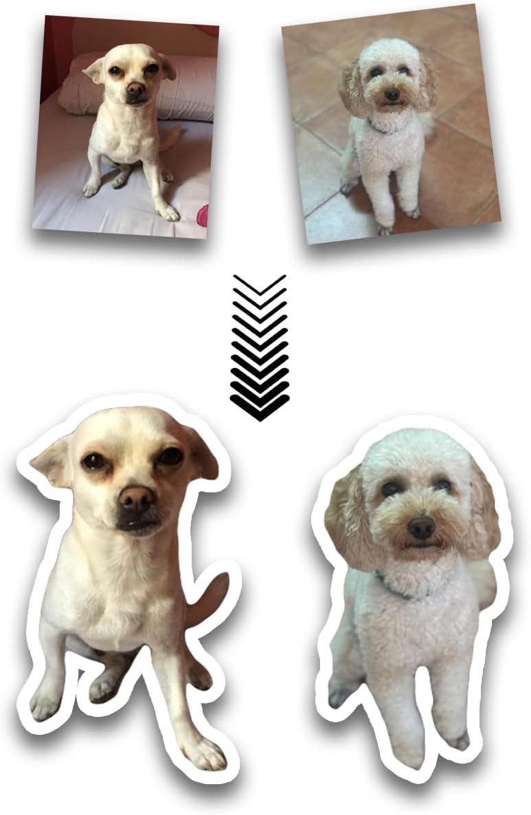 Adesivi Personalizzati da Foto – 1 Adesivo da 10 cm + 4 Adesivi da 5 cm