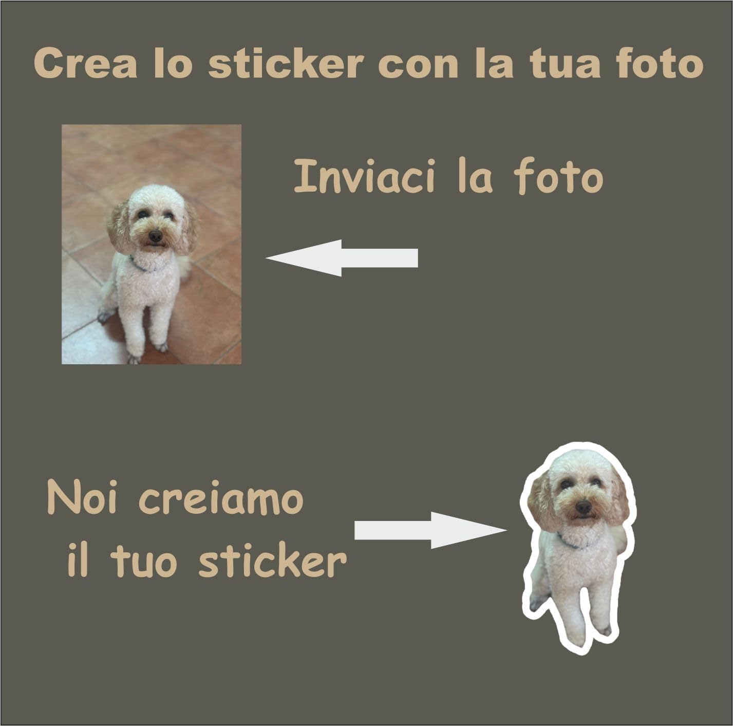 Adesivi Personalizzati da Foto – 1 Adesivo da 10 cm + 4 Adesivi da 5 cm