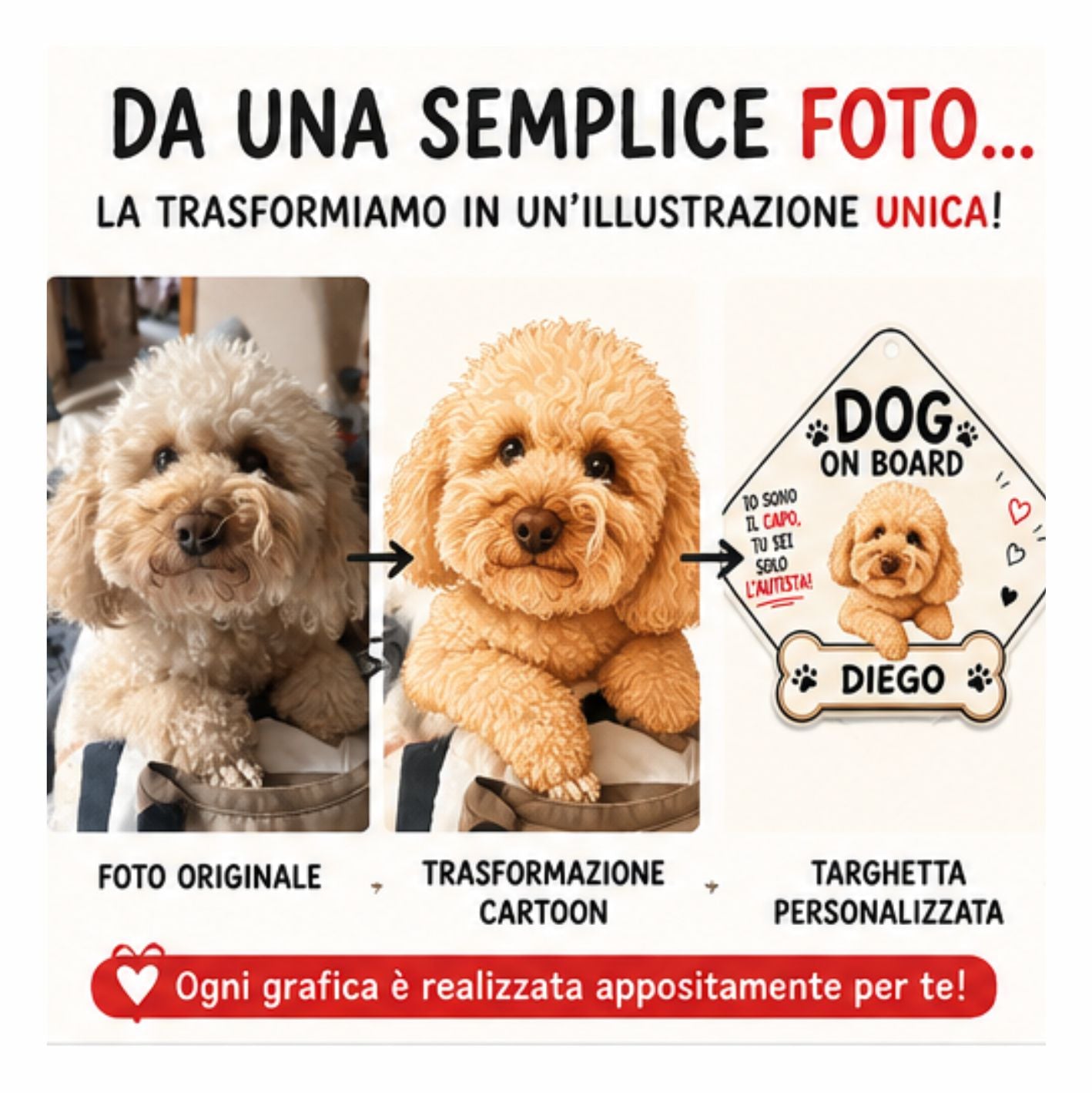 Da una semplice foto alla targhetta personalizzata - processo cartoon