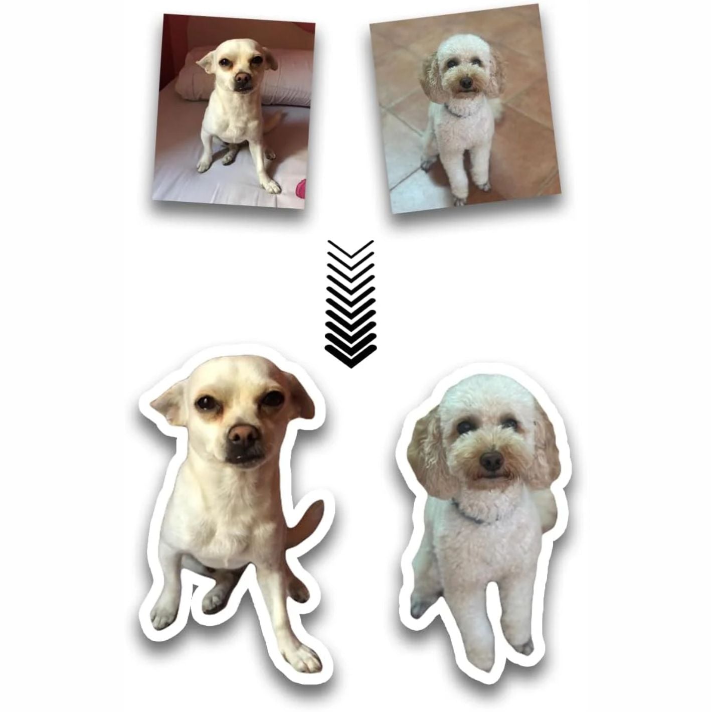 Adesivi Personalizzati da Foto | Sticker PVC con Immagine