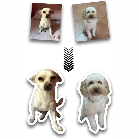Adesivi Personalizzati da Foto | Sticker PVC con Immagine