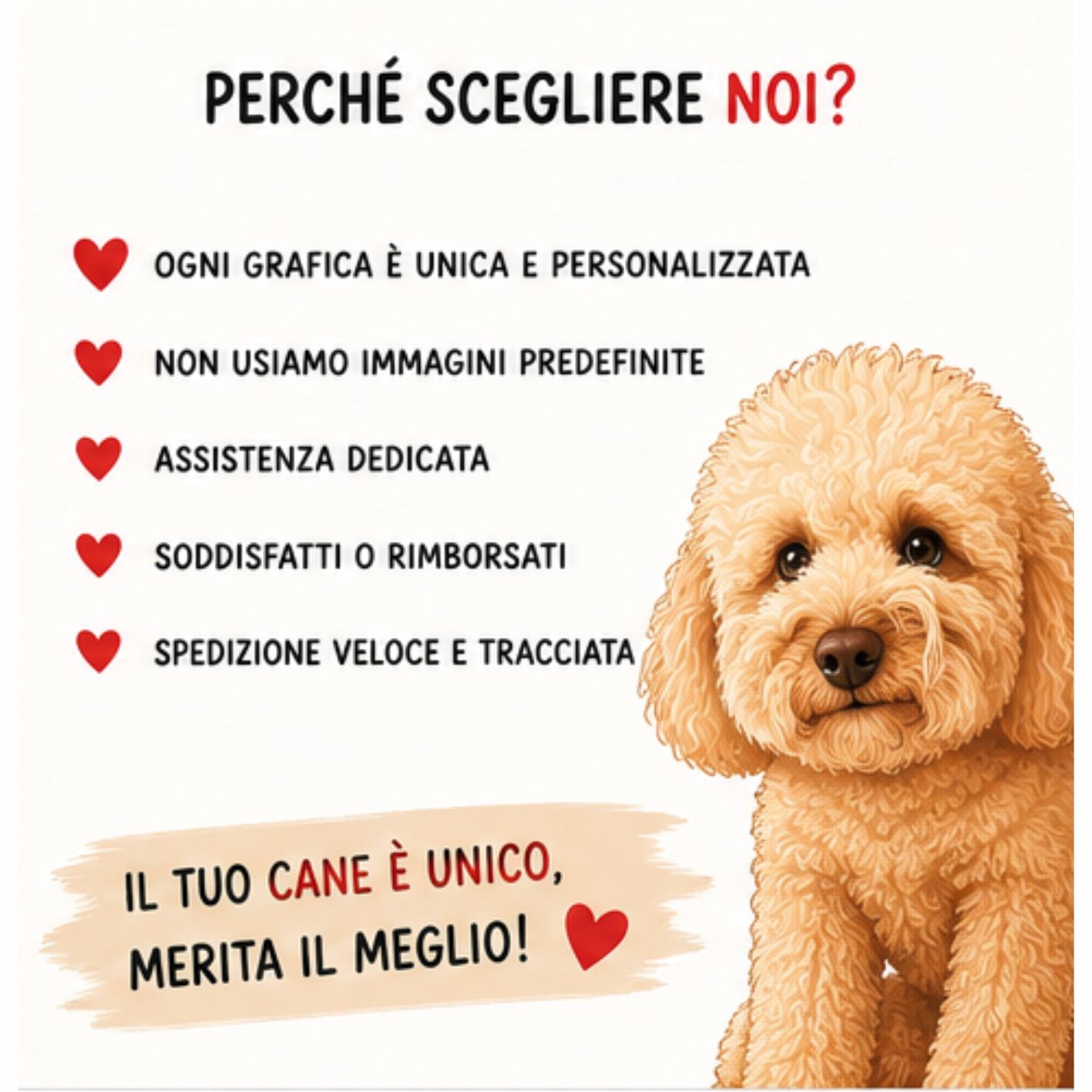 Perché scegliere noi - Dog on Board AMA SHOP