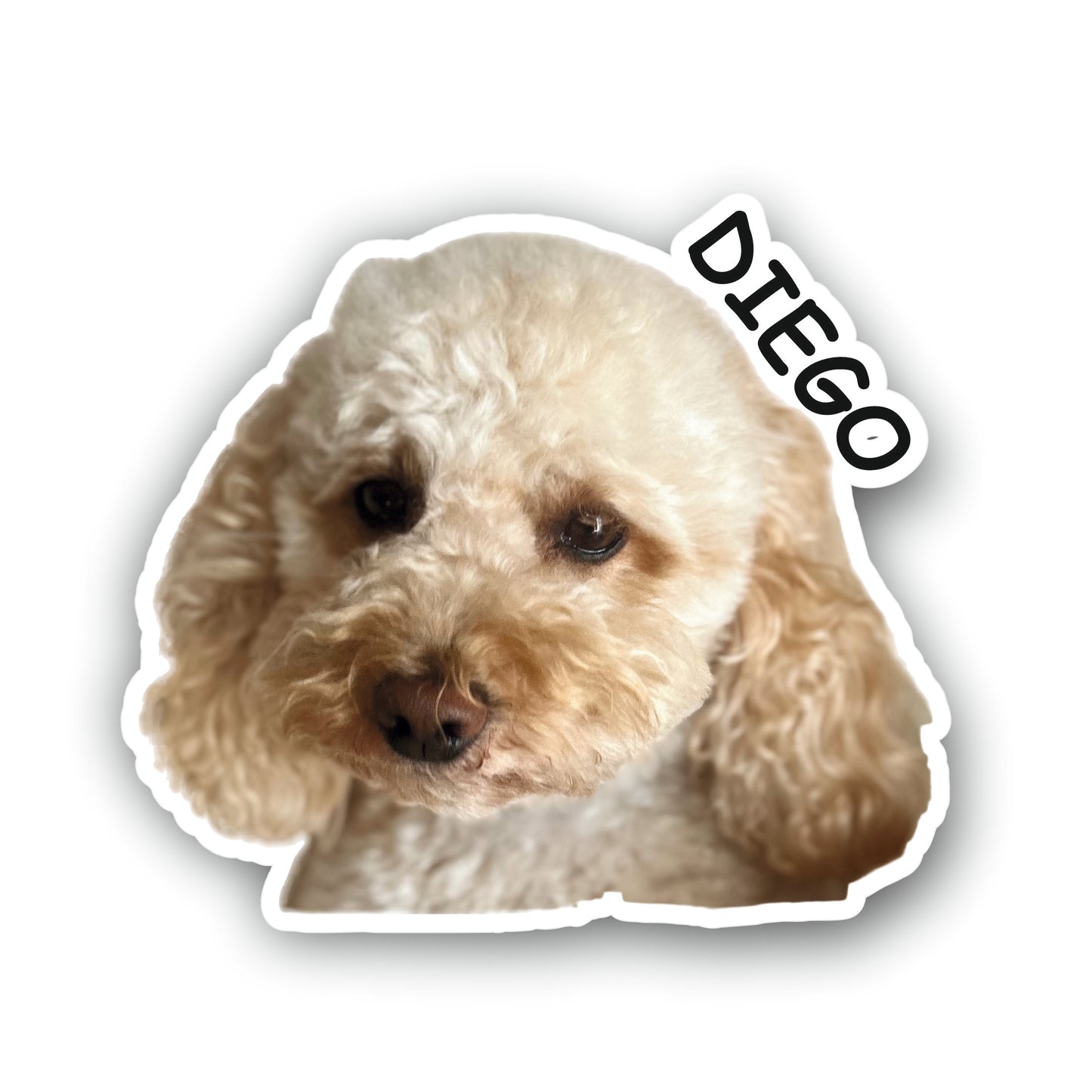 Kit Adesivi personalizzati con foto del tuo cane o gatto con nome