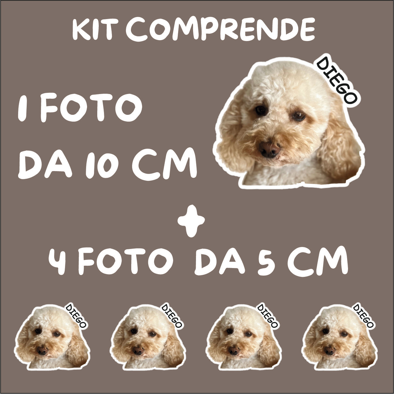 Kit Adesivi personalizzati con foto del tuo cane o gatto con nome