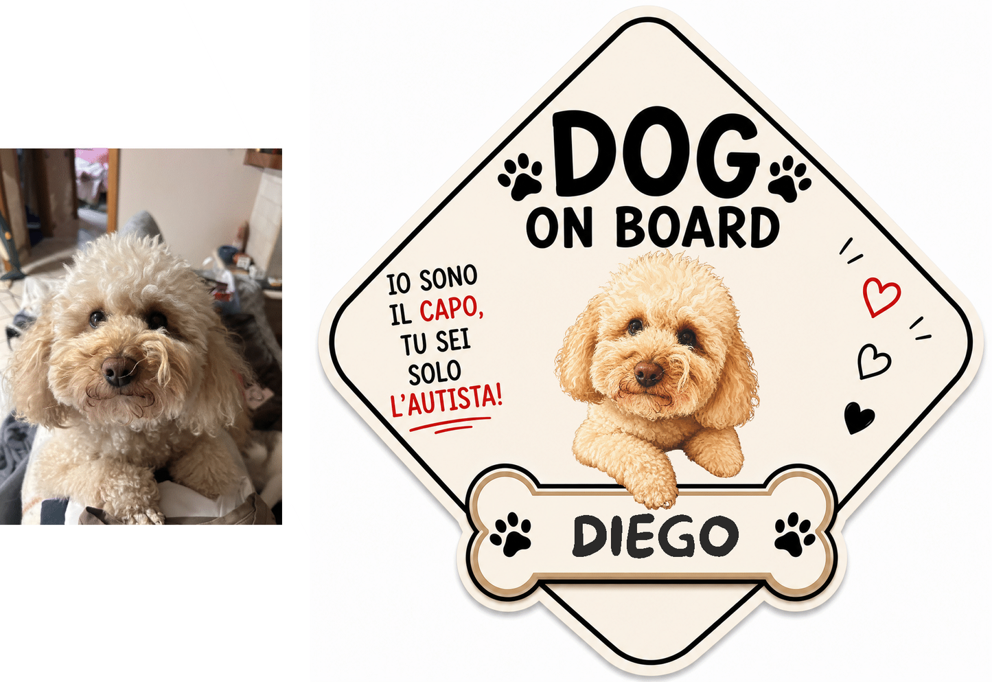 Dog on Board personalizzata - foto reale e targhetta con Diego