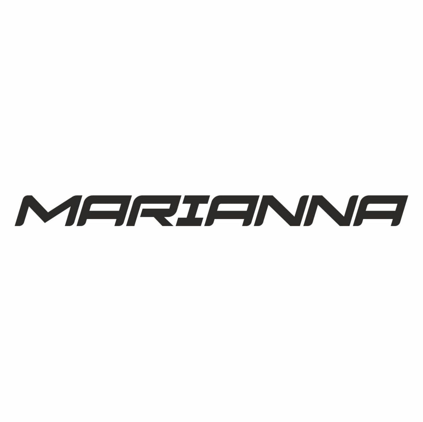 Scritta Prespaziata Stile Racing – Adesivo Vinile Personalizzabile per Auto e Moto