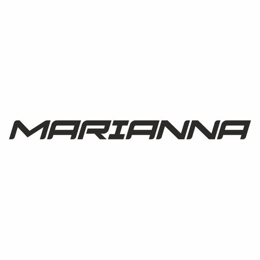 Scritta Prespaziata Stile Racing – Adesivo Vinile Personalizzabile per Auto e Moto